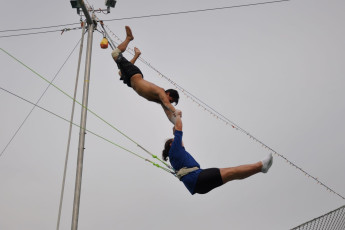 Trapeze-Arts-1