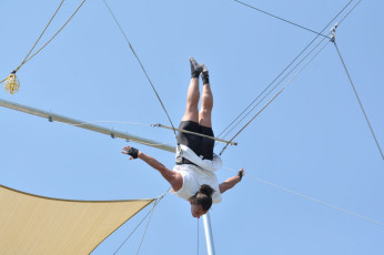 Trapeze-Arts-4