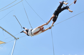 Trapeze-Arts-5