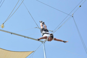 Trapeze Arts 6